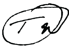 Thor Morales's signature in black ink